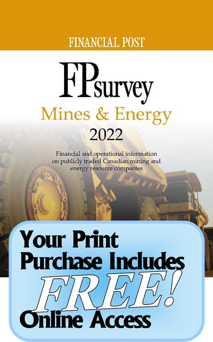 FP Survey - Mines & Energy, 2021