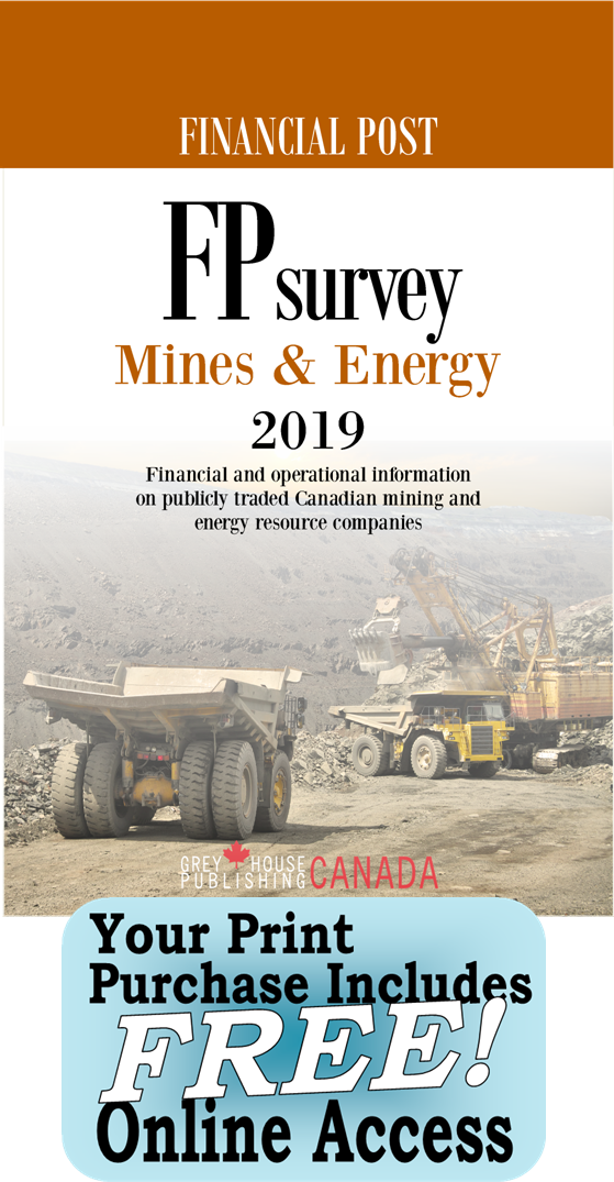 FP Survey - Mines & Energy, 2019